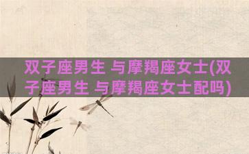 双子座男生 与摩羯座女士(双子座男生 与摩羯座女士配吗)